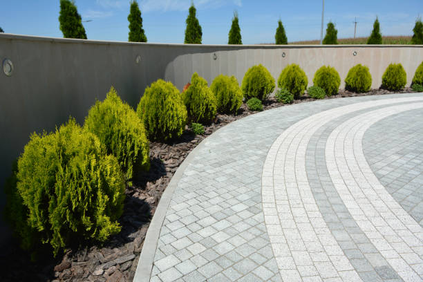 Best Decorative Driveway Paving in Franklin Park, IL